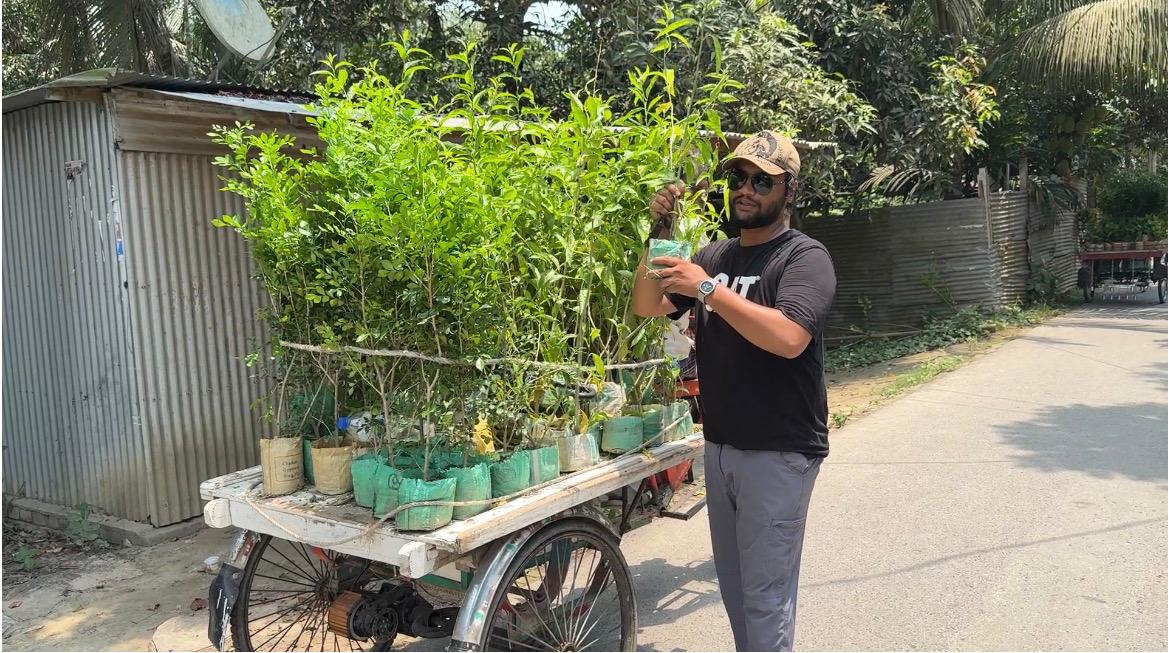 কবরের গাছ চুরির ঘটনায় অনন্য দৃষ্টান্ত, ফুলে ভরছে পুরো গ্রাম